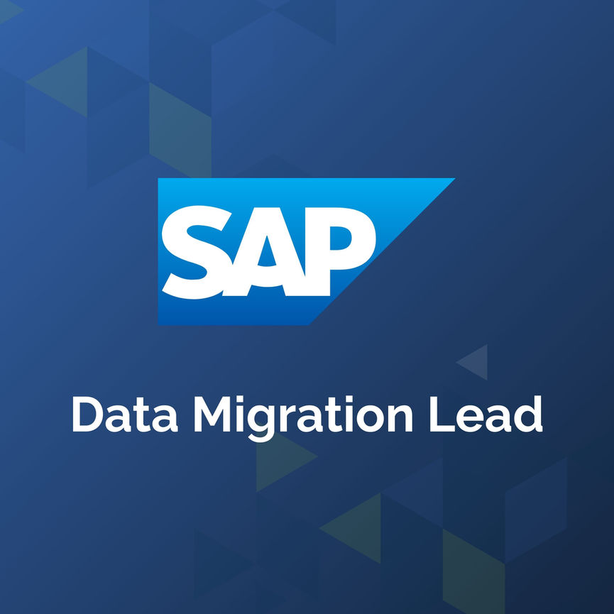 SAP Data Migration Lead