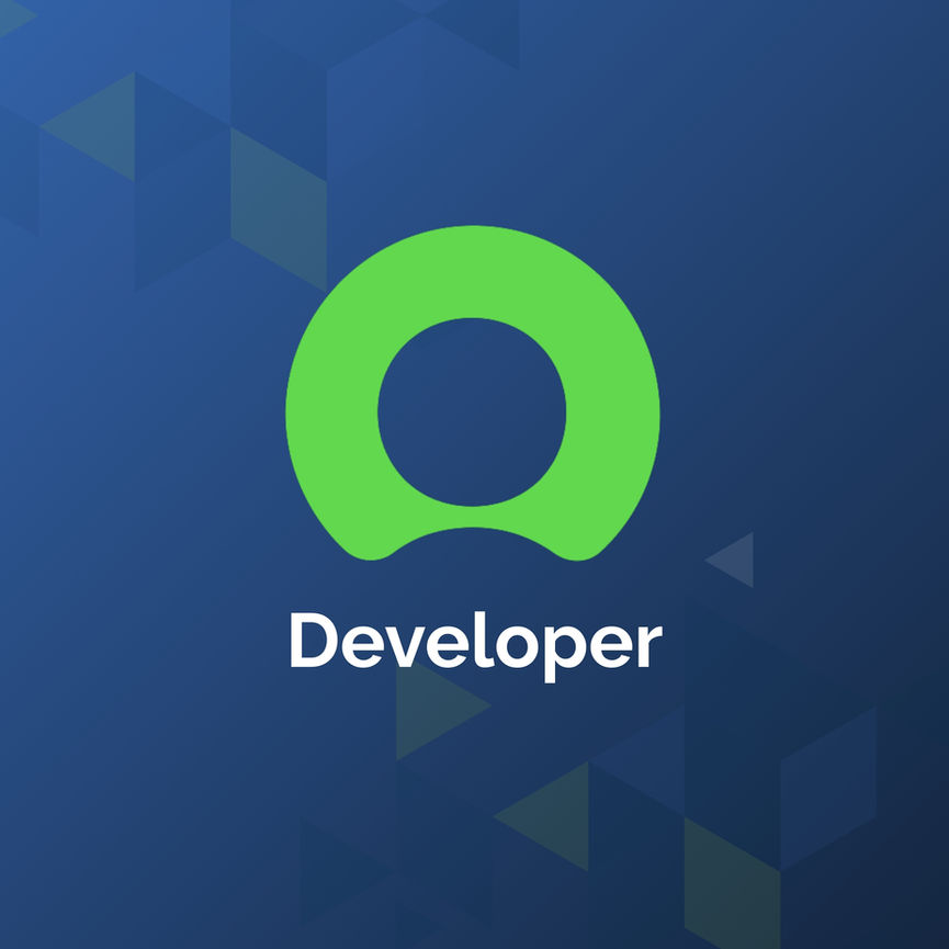 ServiceNow Developer